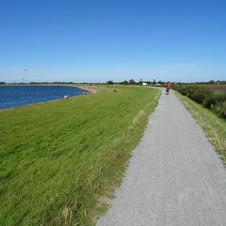 Direkt Am Hafen In Fehmarn-orth Orth